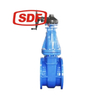 SDF High Performance Flanged Wafer Gate Valve
