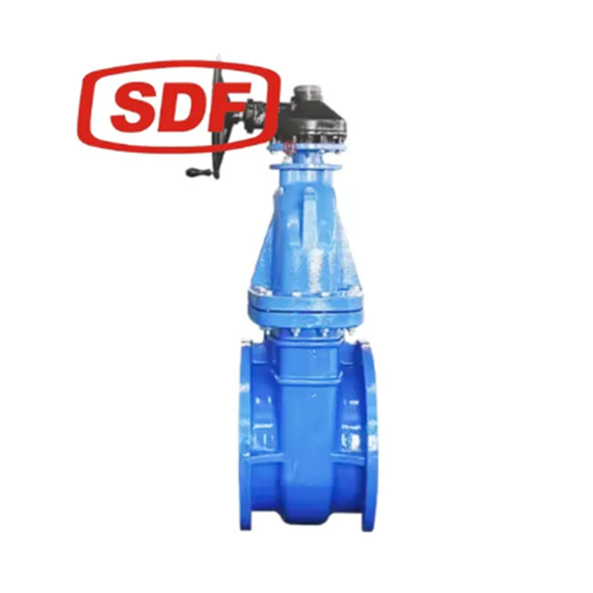 SDF High Performance Flanged Wafer Gate Valve