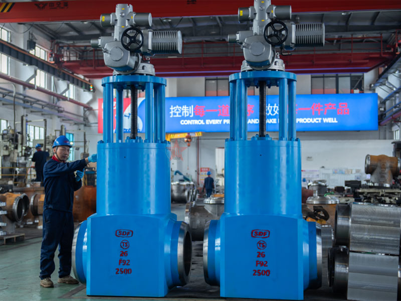 Extraction-Check-Valves.jpg