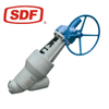 Heavy Duty Y Type Globe Valve with 1 Year Warranty