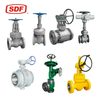SDF Industrial Stainless Steel Valve Series, High-Pressure Gate/Globe/Check/Control Valve for Chemical and Acid Service